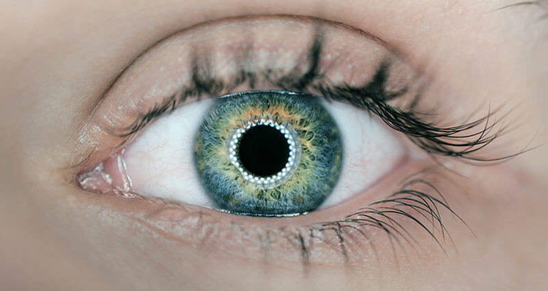 Image of an eye with an iris that looks robotic.